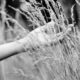 Organic Reach: What Works Right Now to Maximize Visibility