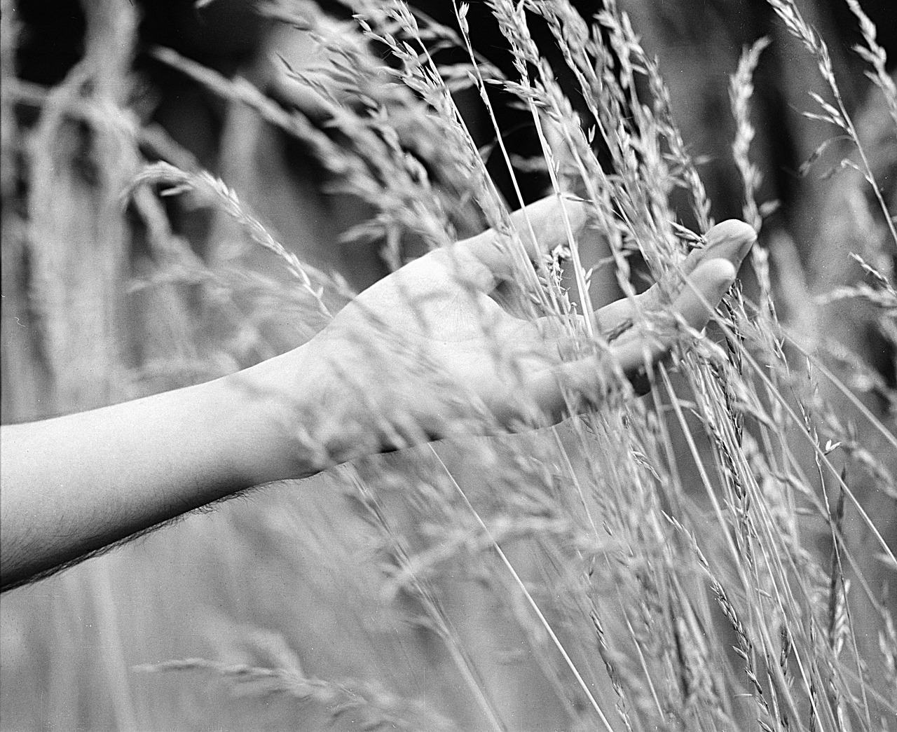 Organic Reach: What Works Right Now to Maximize Visibility